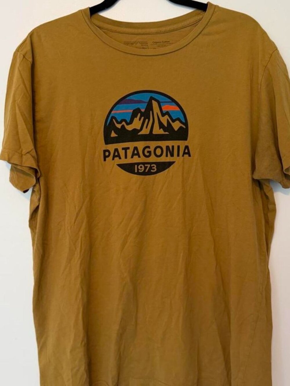 Patagonia T-shirt with mountain graphic and PATAGONIA 1973 text, size L